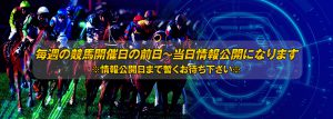 中央競馬投資会WINNERS(中央競馬投資会ウイナーズ)-無料コンテンツ-無料情報