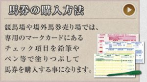 平馬の鉄人-初心者ガイド-馬券の購入方法