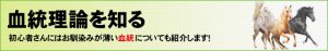 アドレナリン競馬_無料コンテンツ_血統理論を知る