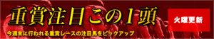 競馬CROWN_競馬クラウン-無料情報-重賞注目この1頭