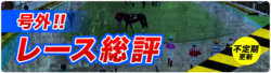 的中タイムズ_レース総評_悪徳競馬予想リーク情報