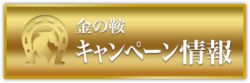 金の鞍_有料情報_キャンペーン情報