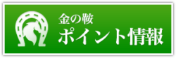 金の鞍_有料情報_ポイント情報