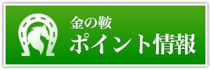 金の鞍_有料情報_ポイント情報