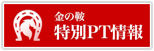 金の鞍_有料情報_特別ポイント情報